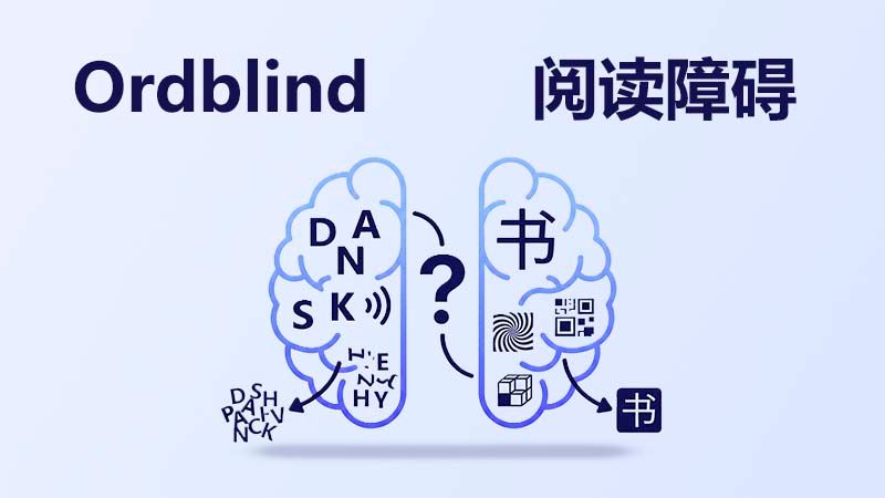 Illustration af en hjerne, der viser forskellen på ordblindhed på dansk og kinesisk. Den venstre hjernehalvdel viser danske bogstaver og lydbearbejdning, mens den højre viser kinesiske tegn og visuel-rumlig bearbejdning.