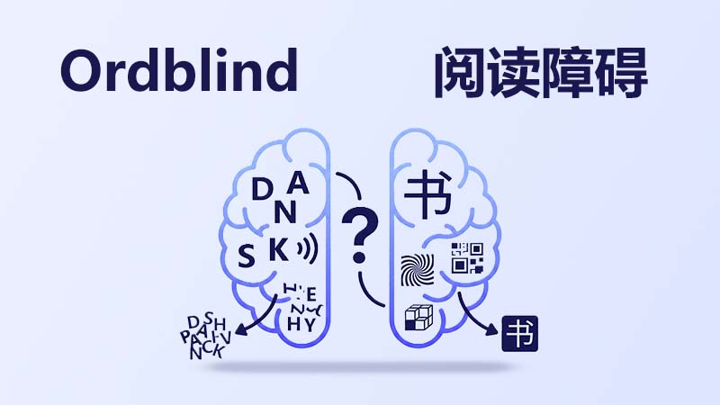 Illustration af en hjerne, der viser forskellen på ordblindhed på dansk og kinesisk. Den venstre hjernehalvdel viser danske bogstaver og lydbearbejdning, mens den højre viser kinesiske tegn og visuel-rumlig bearbejdning.